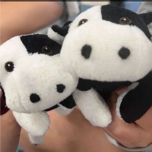 Meet your Posher, Gioia